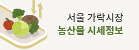 서울 가락시장 농산물 시세정보