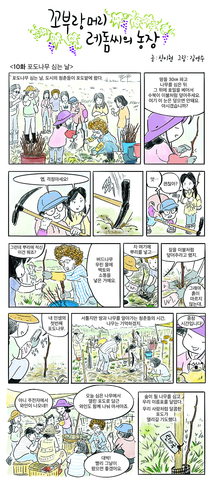 꼬부랑머리 레돔씨의 농장 10 회