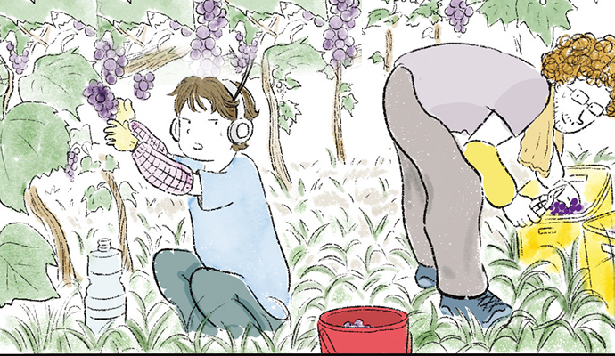 꼬부랑머리 레돔씨의 농장 13 회