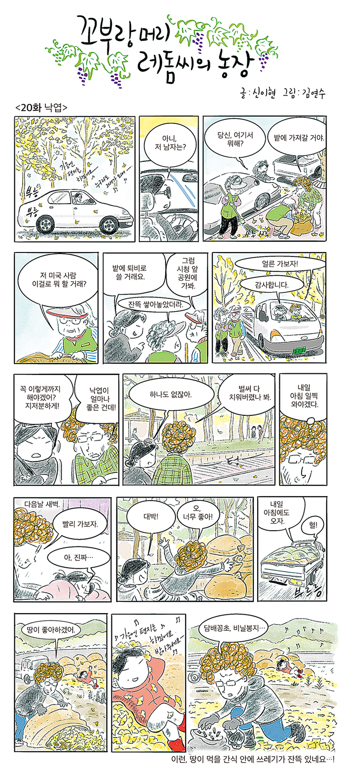 꼬부랑머리 레돔씨의 농장 20 회