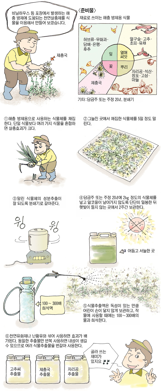 6 회