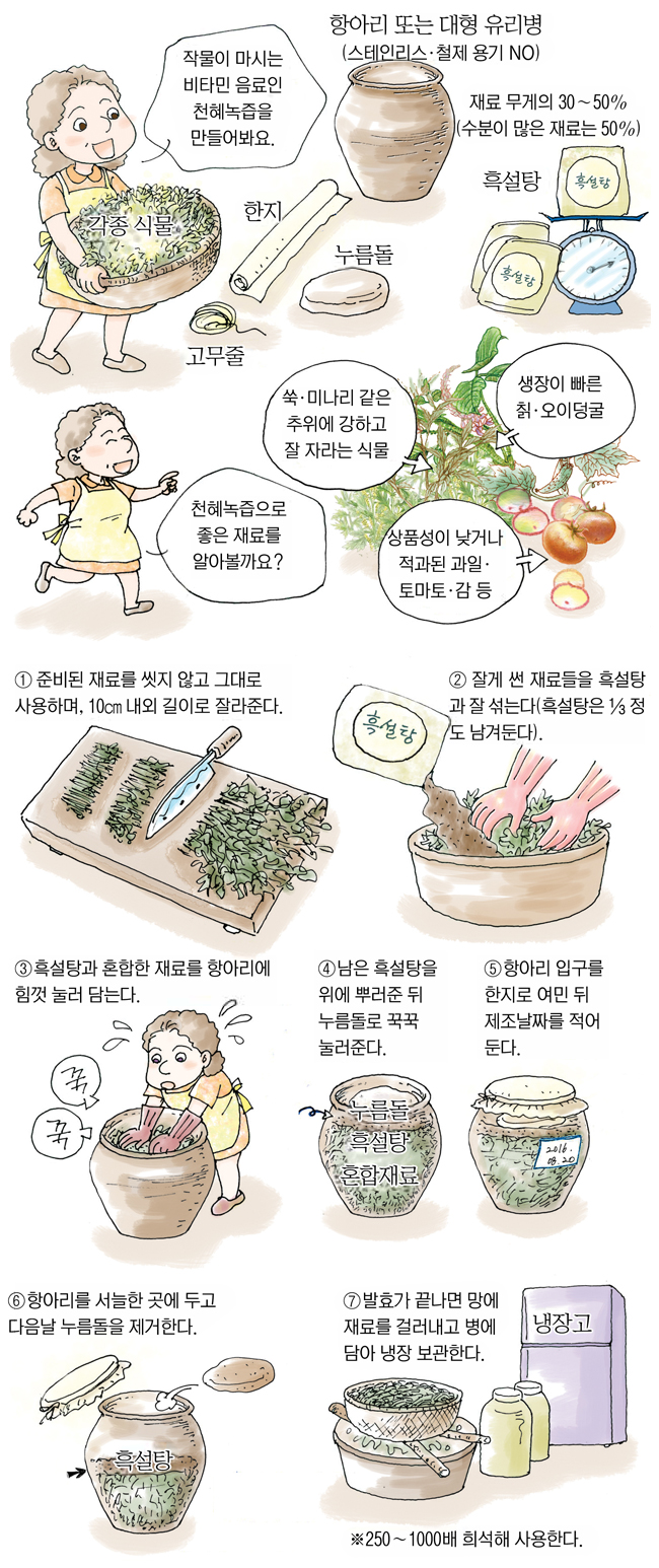 10 회