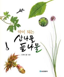 약이되는 산나물 들나물(개정판)