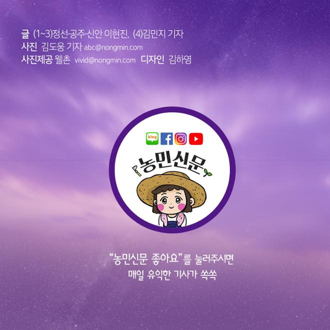 [카드뉴스] 마을 전체가 호텔 ‘5성급 시골’서 호캉스 어때요? 