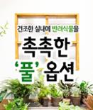 [카드뉴스] 풀 옵션 이미지