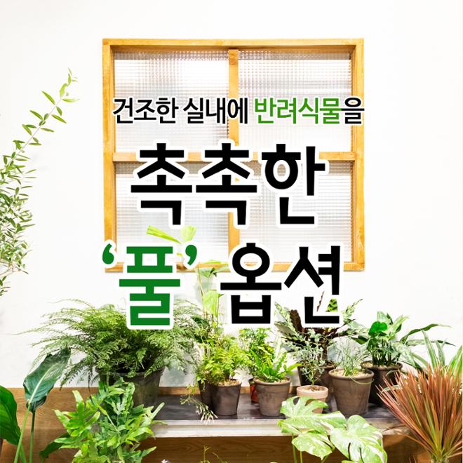 [카드뉴스] 풀 옵션 