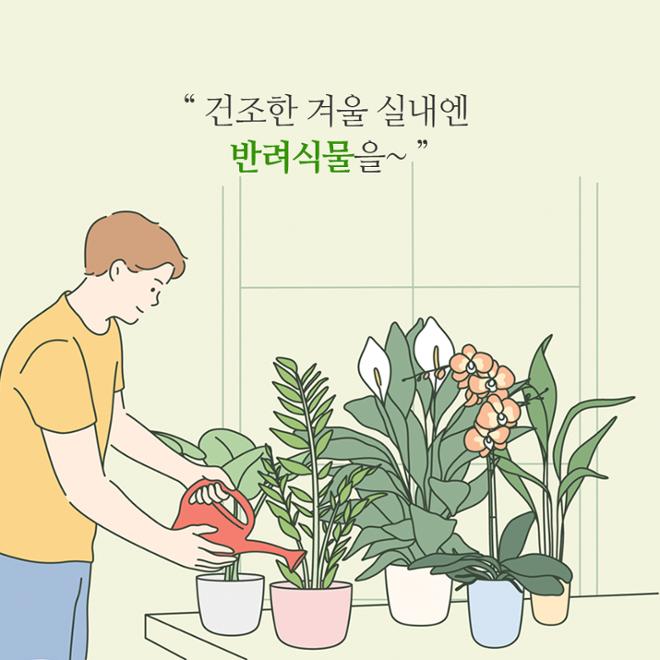[카드뉴스] 풀 옵션 