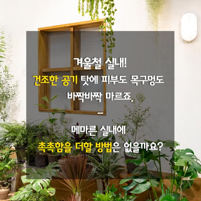 [카드뉴스] 풀 옵션 