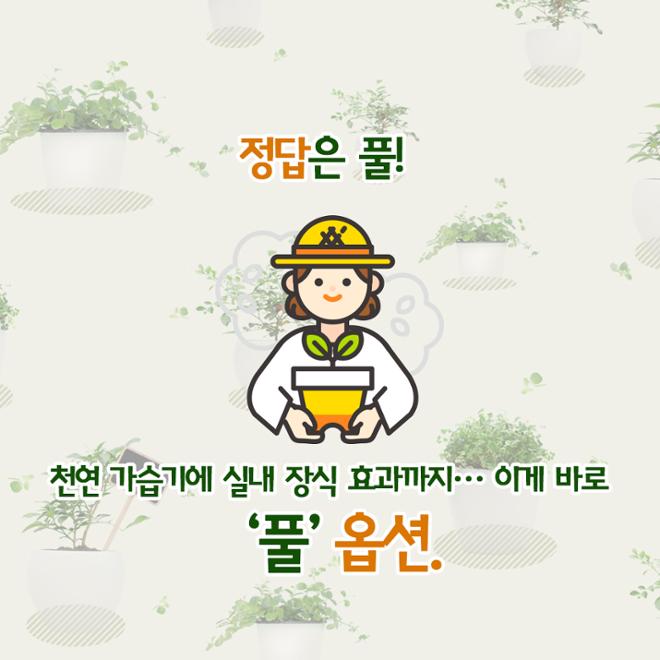[카드뉴스] 풀 옵션 