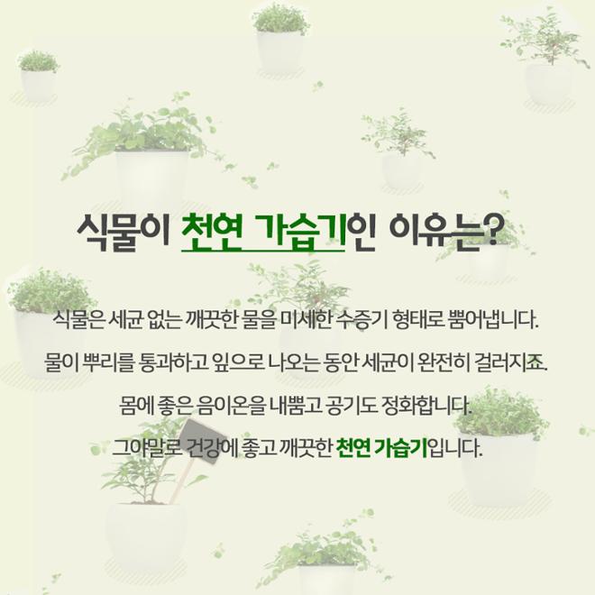 [카드뉴스] 풀 옵션 
