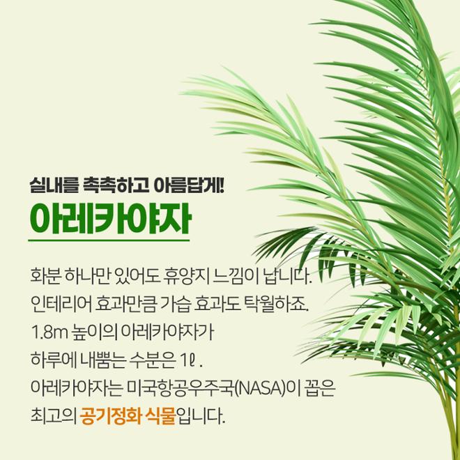 [카드뉴스] 풀 옵션 
