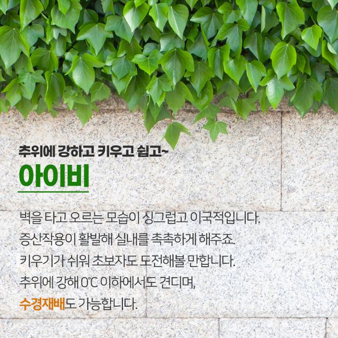 [카드뉴스] 풀 옵션 