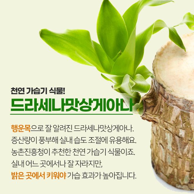 [카드뉴스] 풀 옵션 
