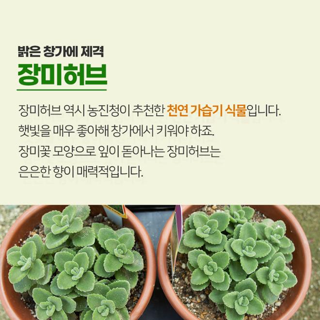 [카드뉴스] 풀 옵션 