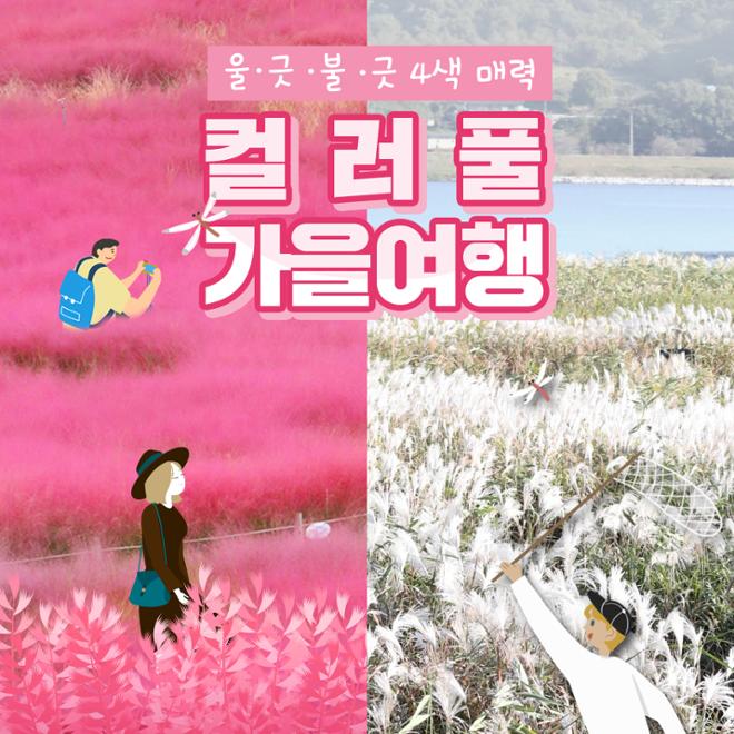[카드뉴스] 울긋불긋 4색 매력 컬러풀 가을여행 