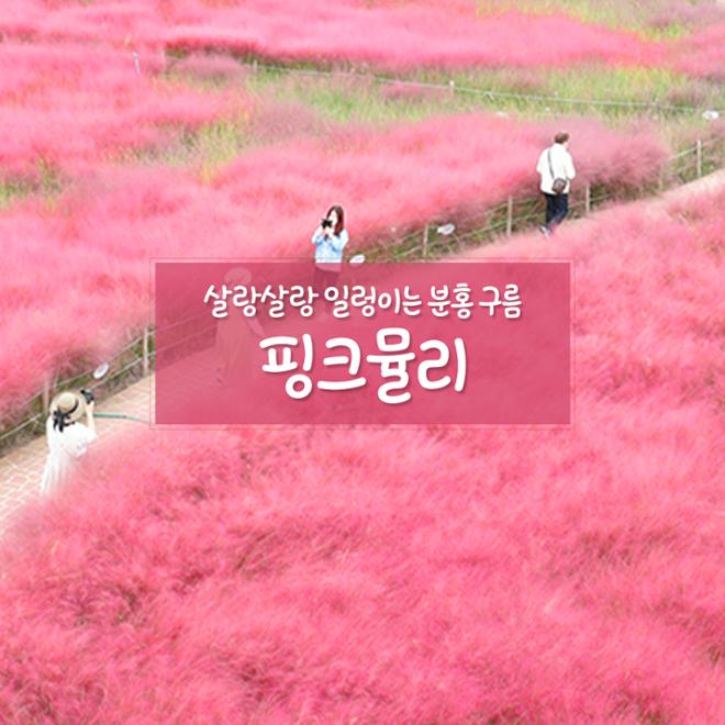[카드뉴스] 울긋불긋 4색 매력 컬러풀 가을여행 