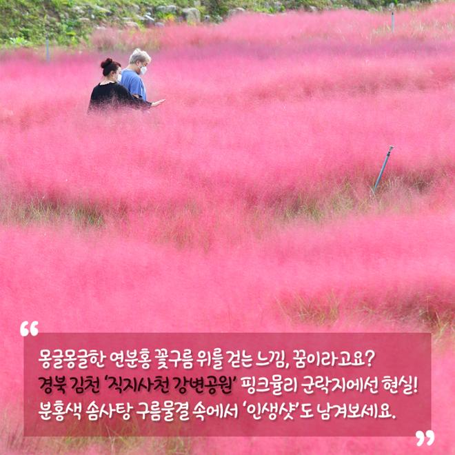 [카드뉴스] 울긋불긋 4색 매력 컬러풀 가을여행 