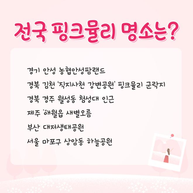 [카드뉴스] 울긋불긋 4색 매력 컬러풀 가을여행 
