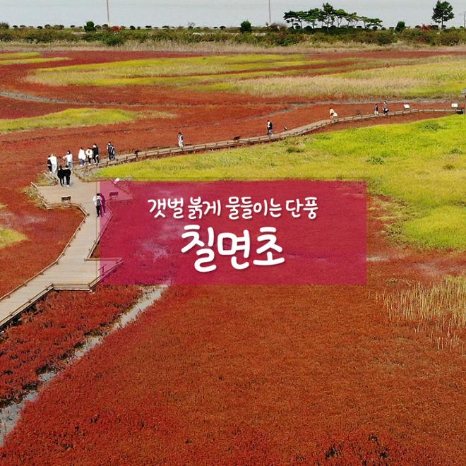 [카드뉴스] 울긋불긋 4색 매력 컬러풀 가을여행 