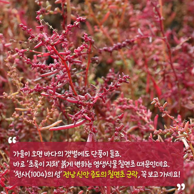 [카드뉴스] 울긋불긋 4색 매력 컬러풀 가을여행 