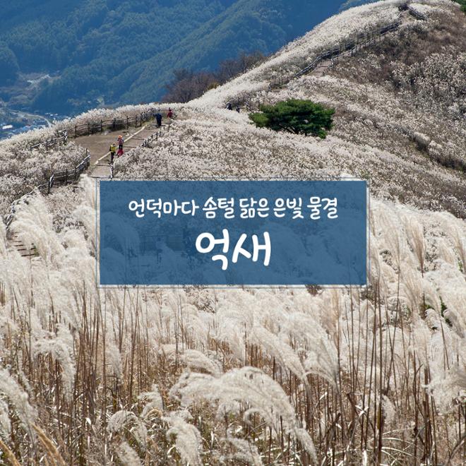 [카드뉴스] 울긋불긋 4색 매력 컬러풀 가을여행 