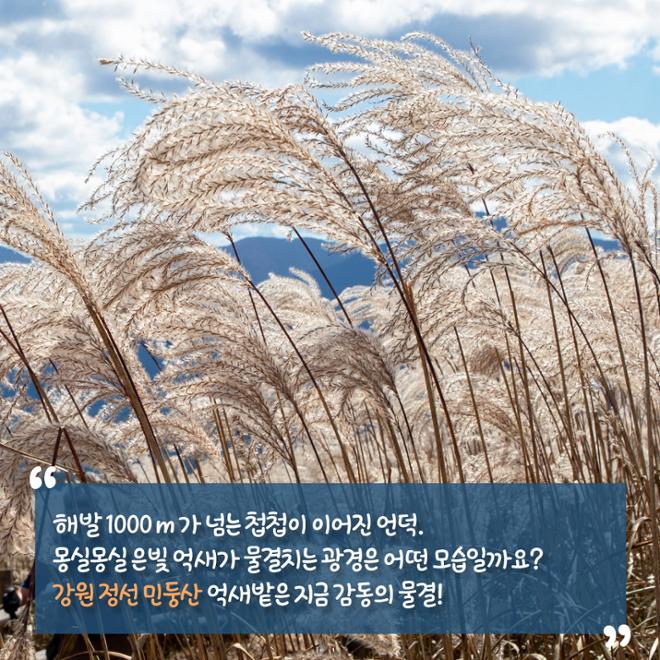 [카드뉴스] 울긋불긋 4색 매력 컬러풀 가을여행 
