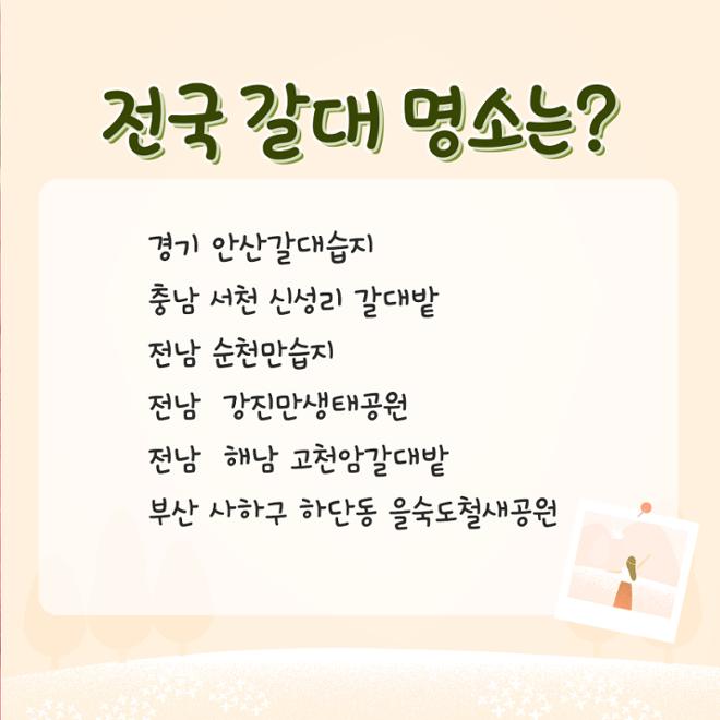 [카드뉴스] 울긋불긋 4색 매력 컬러풀 가을여행 