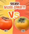 [카드뉴스] 맛대맛 - 홍시 vs. 단감 이미지