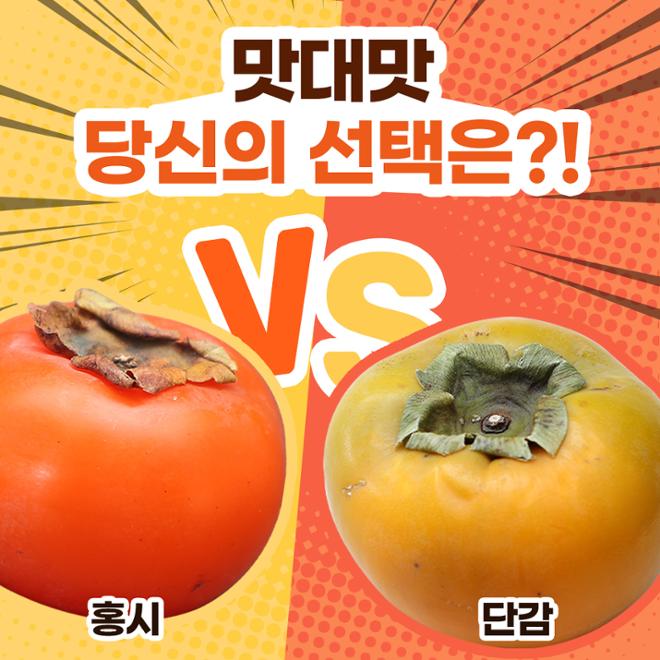 [카드뉴스] 맛대맛 - 홍시 vs. 단감 