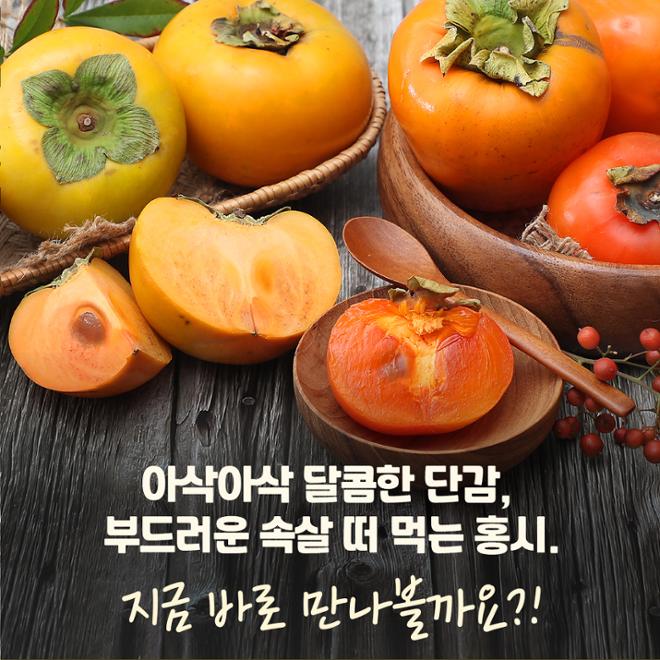 [카드뉴스] 맛대맛 - 홍시 vs. 단감 