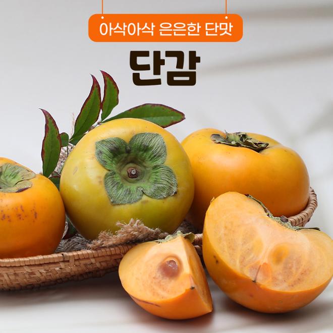 [카드뉴스] 맛대맛 - 홍시 vs. 단감 