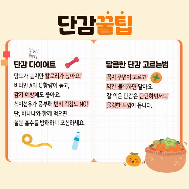 [카드뉴스] 맛대맛 - 홍시 vs. 단감 