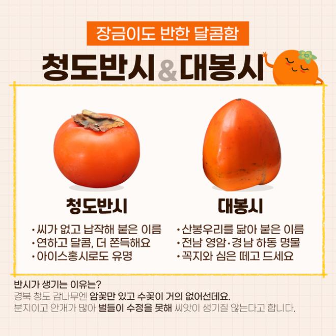 [카드뉴스] 맛대맛 - 홍시 vs. 단감 