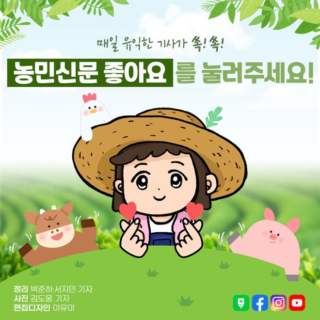[카드뉴스] 맛대맛 - 홍시 vs. 단감 
