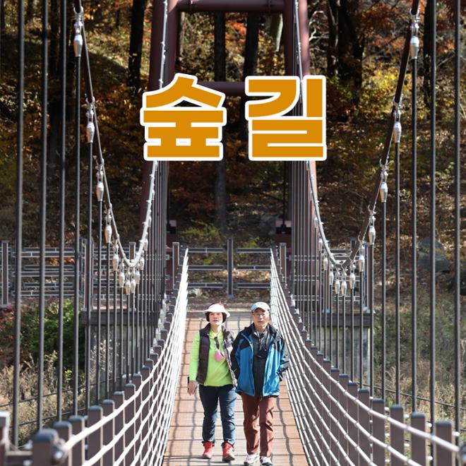 [카드뉴스] 숲길 따라 물길 따라 가을 산책길 6 