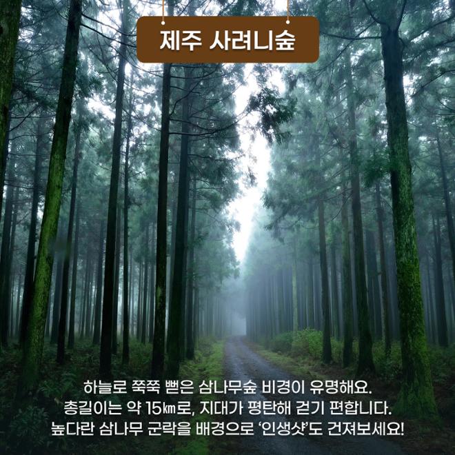 [카드뉴스] 숲길 따라 물길 따라 가을 산책길 6 