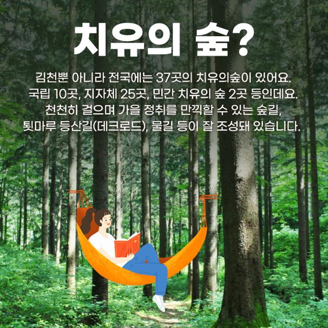 [카드뉴스] 숲길 따라 물길 따라 가을 산책길 6 