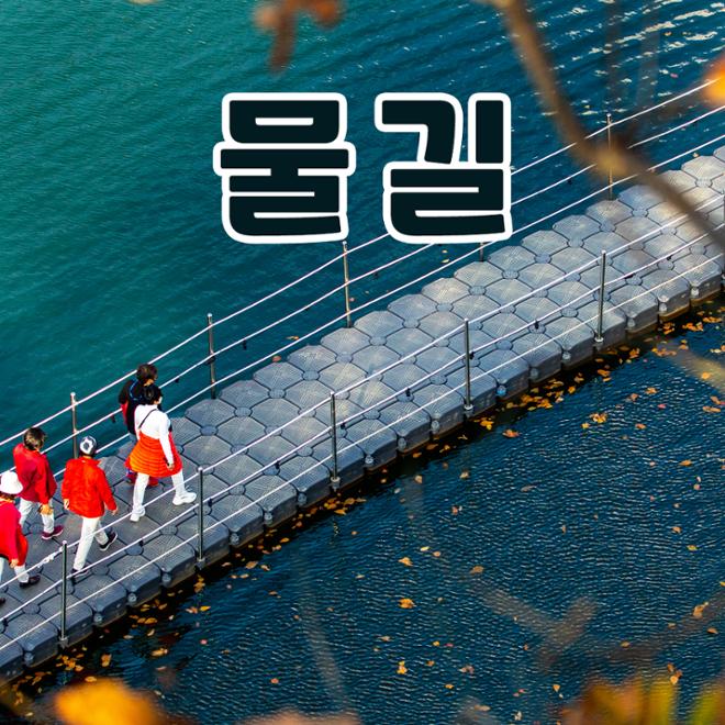 [카드뉴스] 숲길 따라 물길 따라 가을 산책길 6 