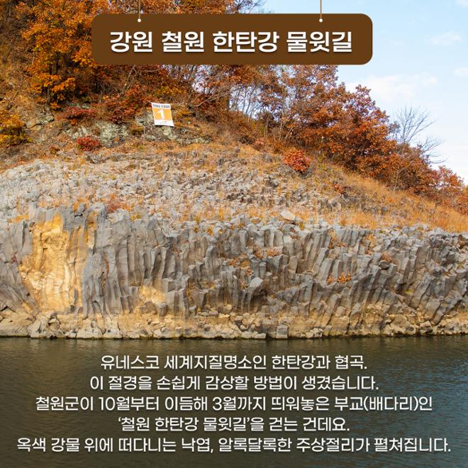[카드뉴스] 숲길 따라 물길 따라 가을 산책길 6 