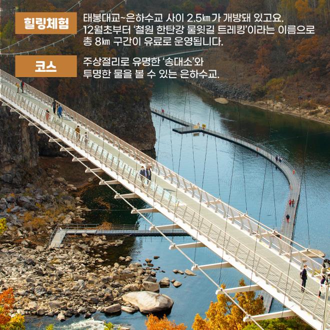 [카드뉴스] 숲길 따라 물길 따라 가을 산책길 6 