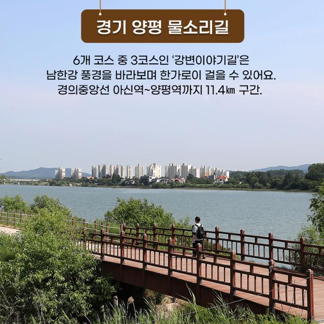 [카드뉴스] 숲길 따라 물길 따라 가을 산책길 6 