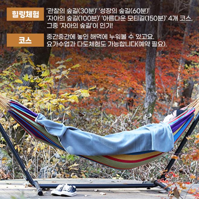 [카드뉴스] 숲길 따라 물길 따라 가을 산책길 6 