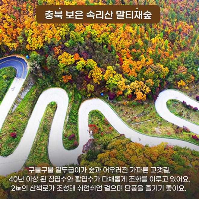 [카드뉴스] 숲길 따라 물길 따라 가을 산책길 6 