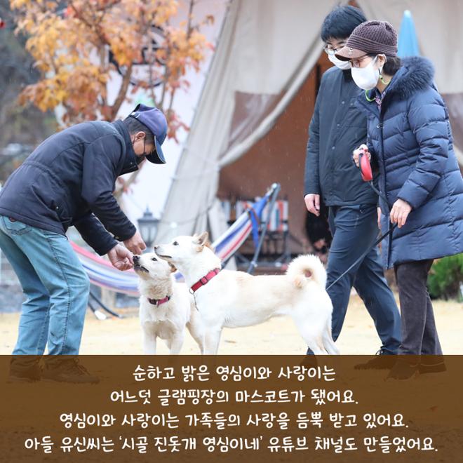 [카드뉴스] 친근한 외모에 구수한 매력 ‘시고르자브종’ 