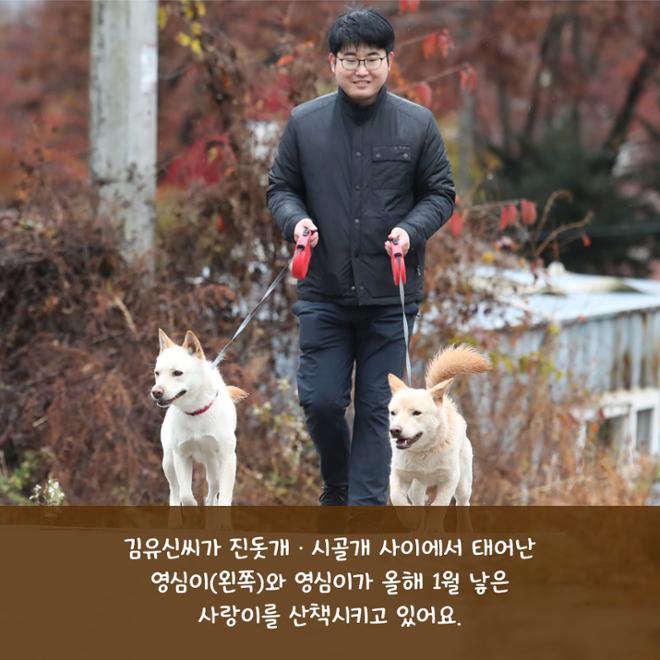 [카드뉴스] 친근한 외모에 구수한 매력 ‘시고르자브종’ 