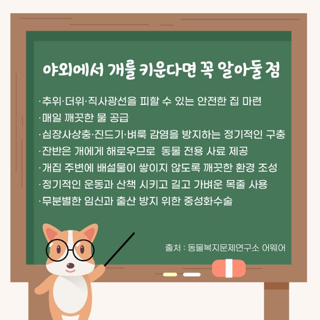 [카드뉴스] 친근한 외모에 구수한 매력 ‘시고르자브종’ 