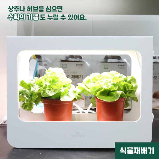 [카드뉴스] 우리집 ‘수식이’와 슬기로운 원예생활 