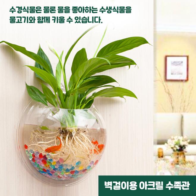 [카드뉴스] 우리집 ‘수식이’와 슬기로운 원예생활 