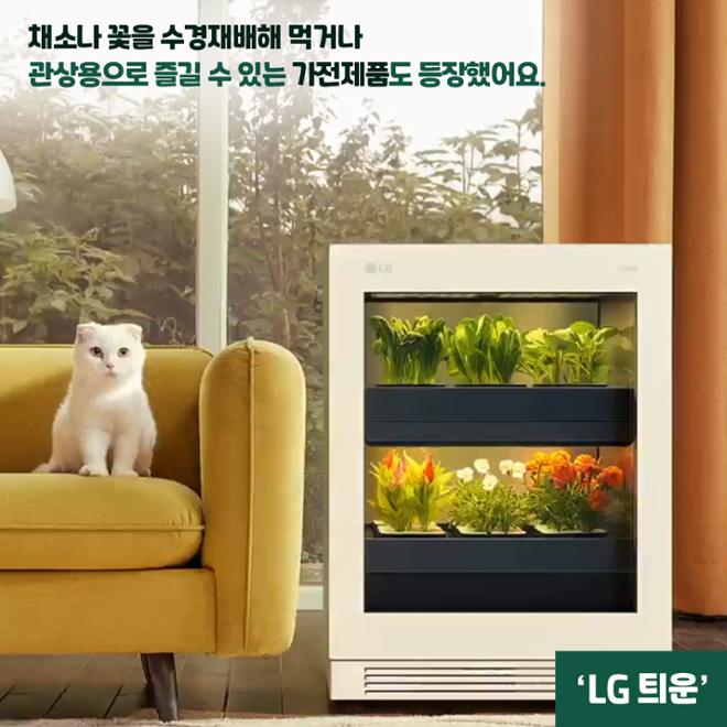[카드뉴스] 우리집 ‘수식이’와 슬기로운 원예생활 