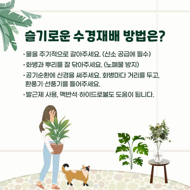 [카드뉴스] 우리집 ‘수식이’와 슬기로운 원예생활 